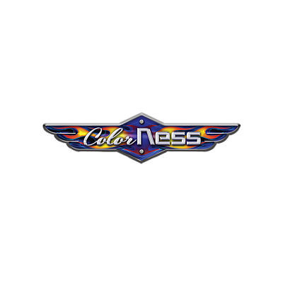 Color Ness Logo Design